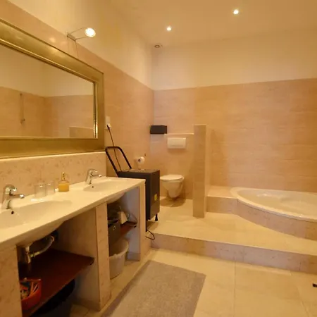 Apartament Chesa Konoba *