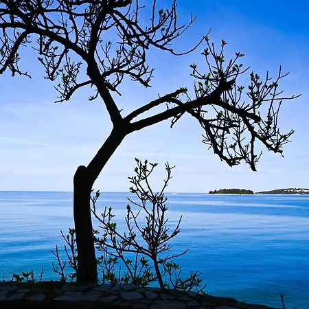 דירה Chesa Konoba *