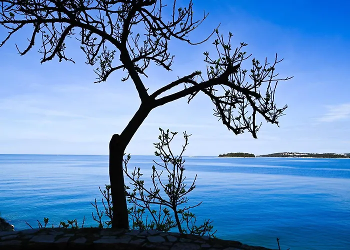 Apartman Chesa Konoba *